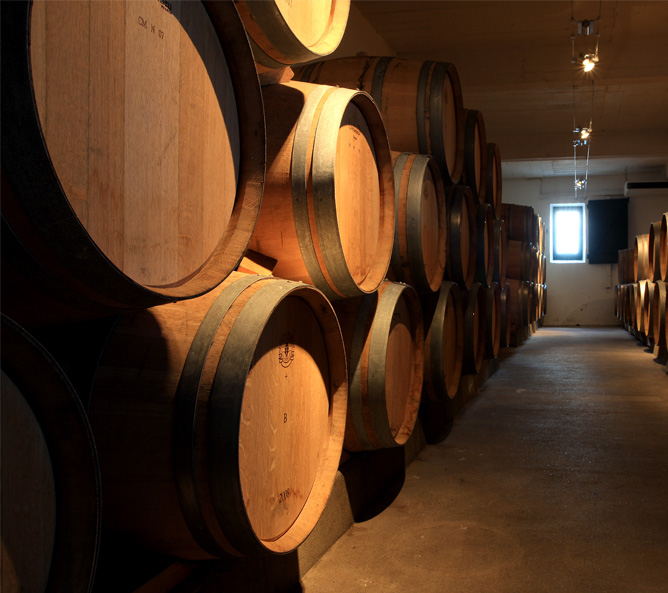 Château Cantegril — photo 3