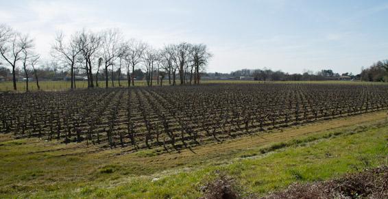 Sc des Vignobles Michel Brunet - Margaux - Gironde