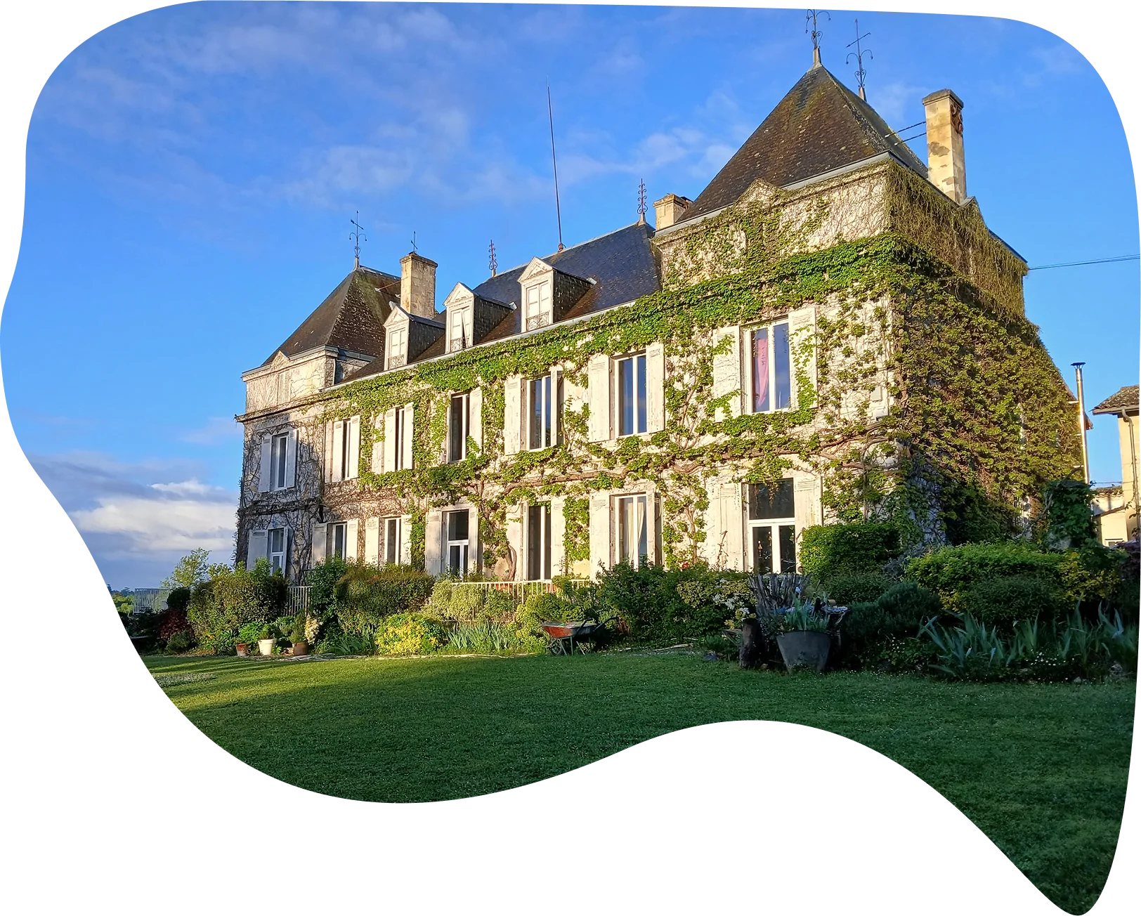 Château Couteau — photo 2