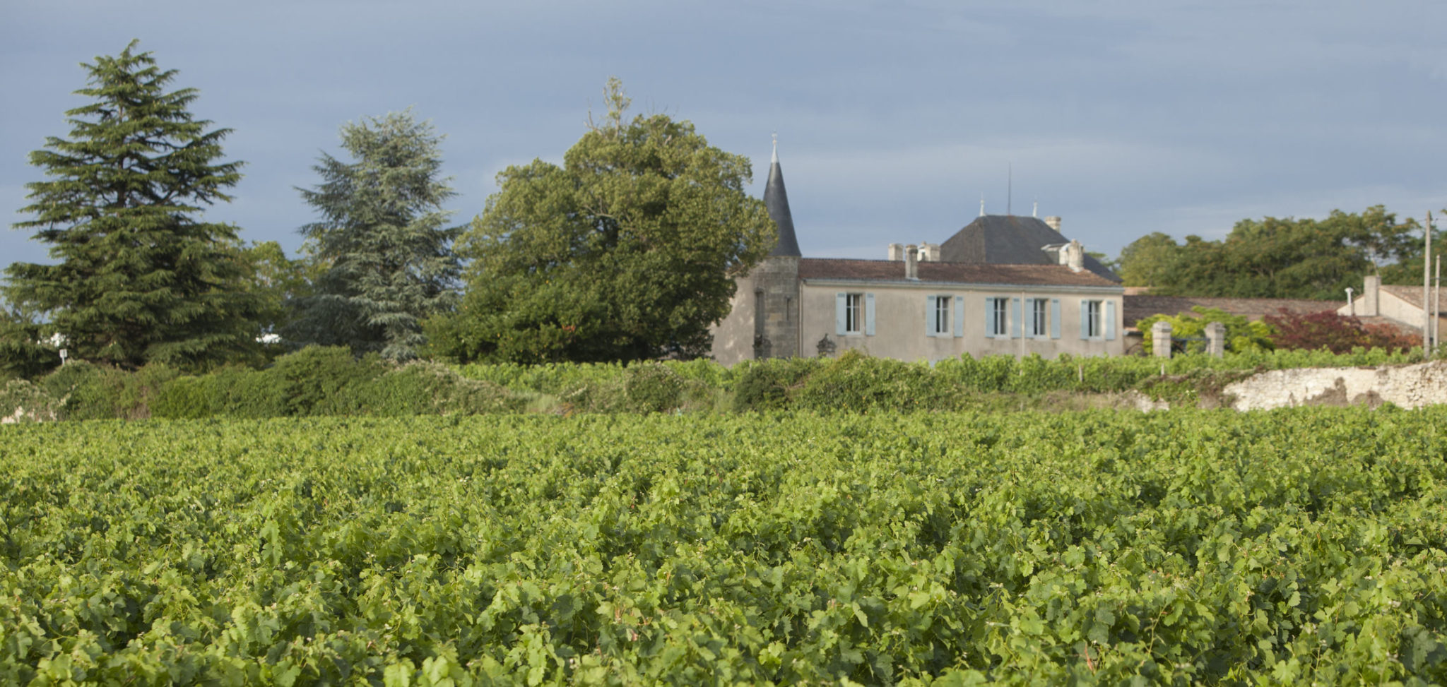 Château les Moines Famille Carreau - Blaye Côtes de Bordeaux