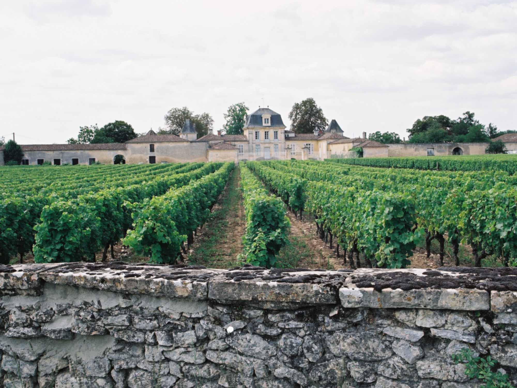Château d'Armajan des Ormes — photo 4