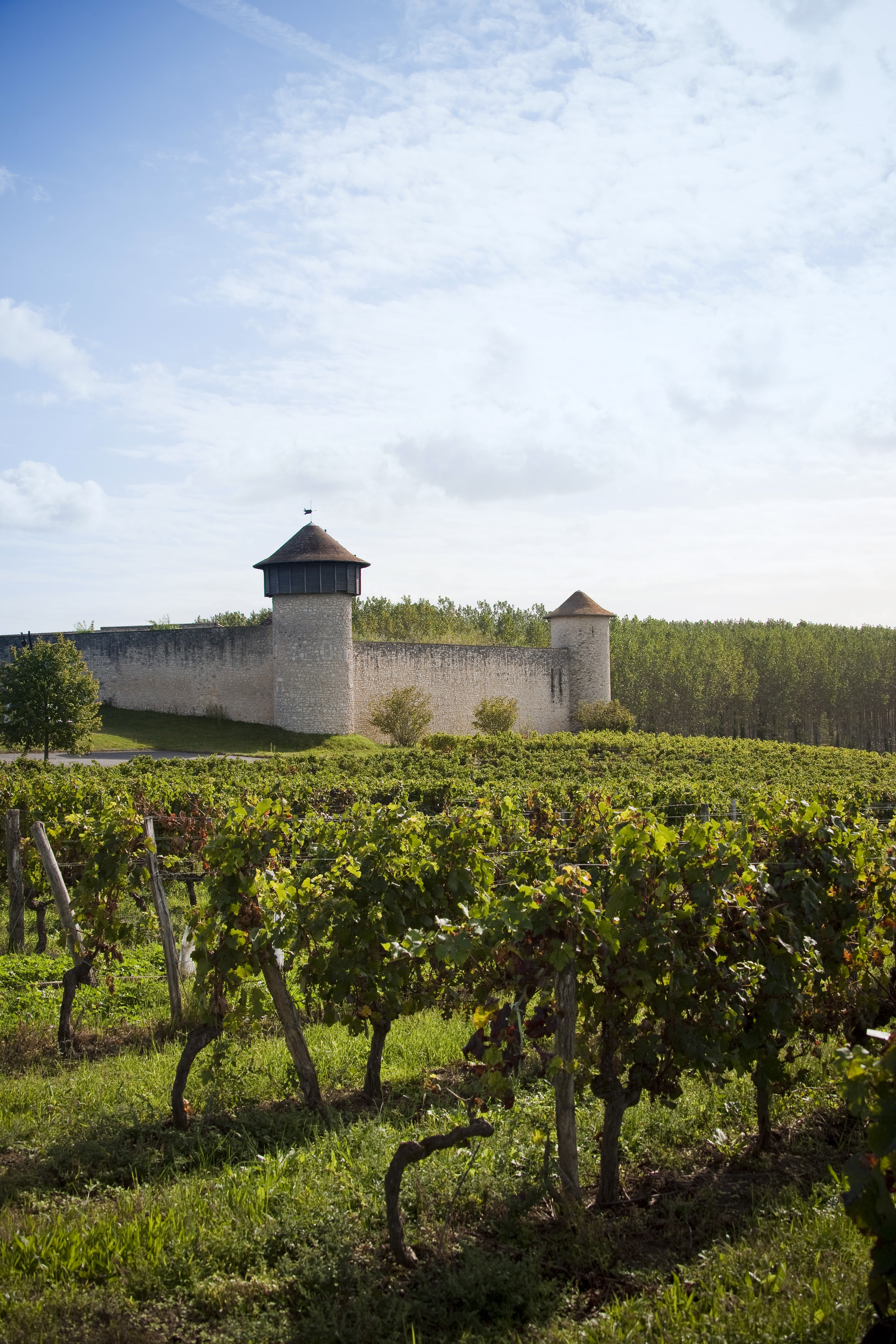 Château Branda (Cadillac-en-Fronsadais) — photo 2