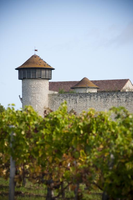 Château Branda (Cadillac-en-Fronsadais) — photo 3