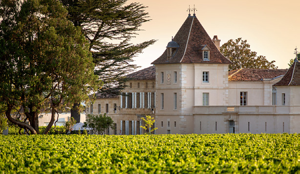 Château la Vue - Saint-Émilion