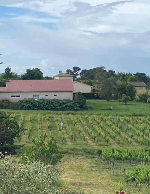 Chateau De Rousselet Vin De Bordeaux En Livraison A Rennes Slide1