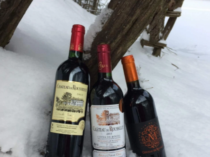 Chateau De Rousselet Vin De Bordeaux En Livraison A Rennes Photo 11