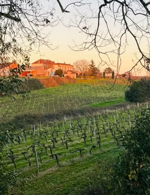 Chateau De Rousselet Vin De Bordeaux En Livraison A Rennes Photo 4 1