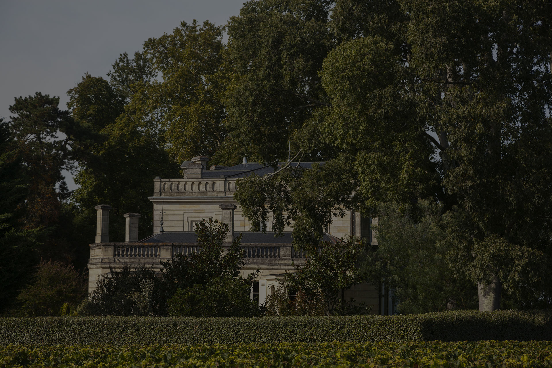 Château Mazeyres — photo 3