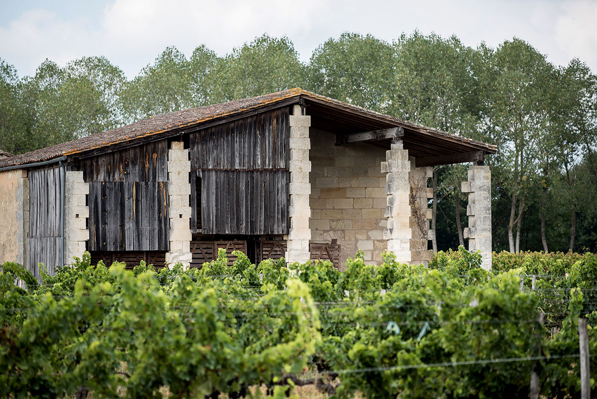 chateau-de-taste-cotes-de-bourg