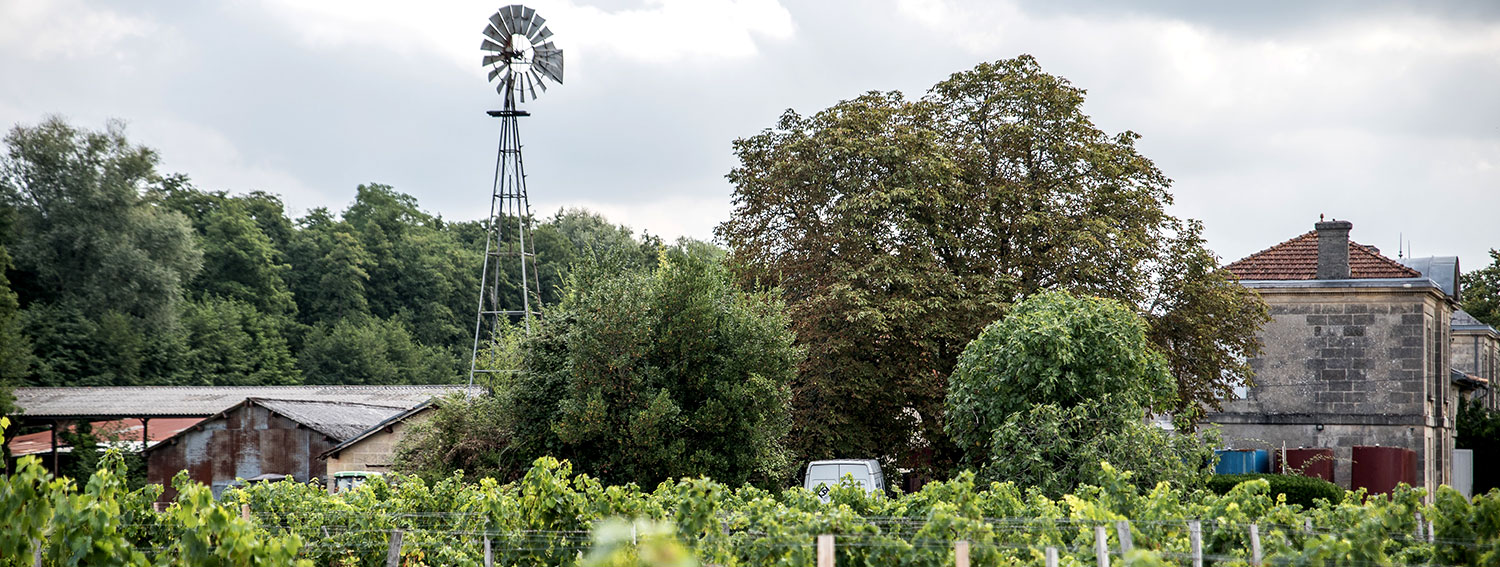 domaine vin de taste