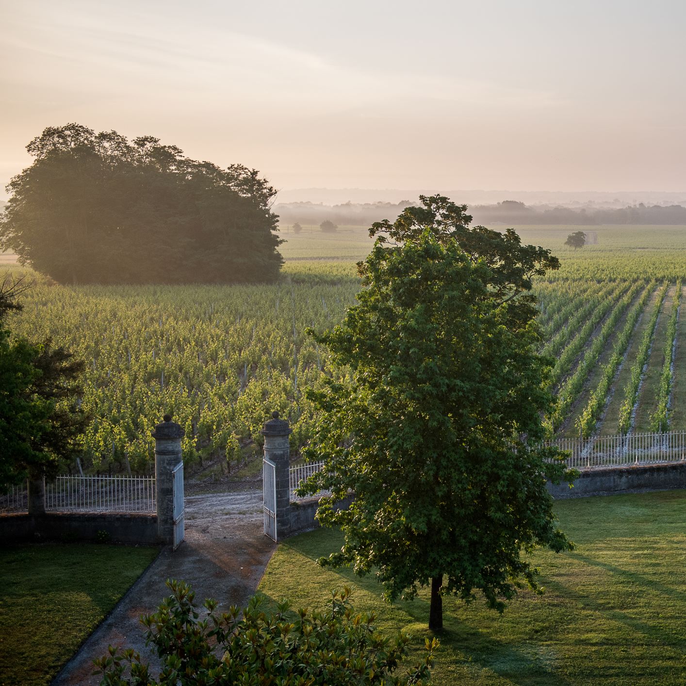 Château Malescasse - Haut-Médoc