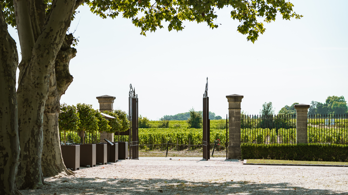 Château Marquis de Terme — photo 9