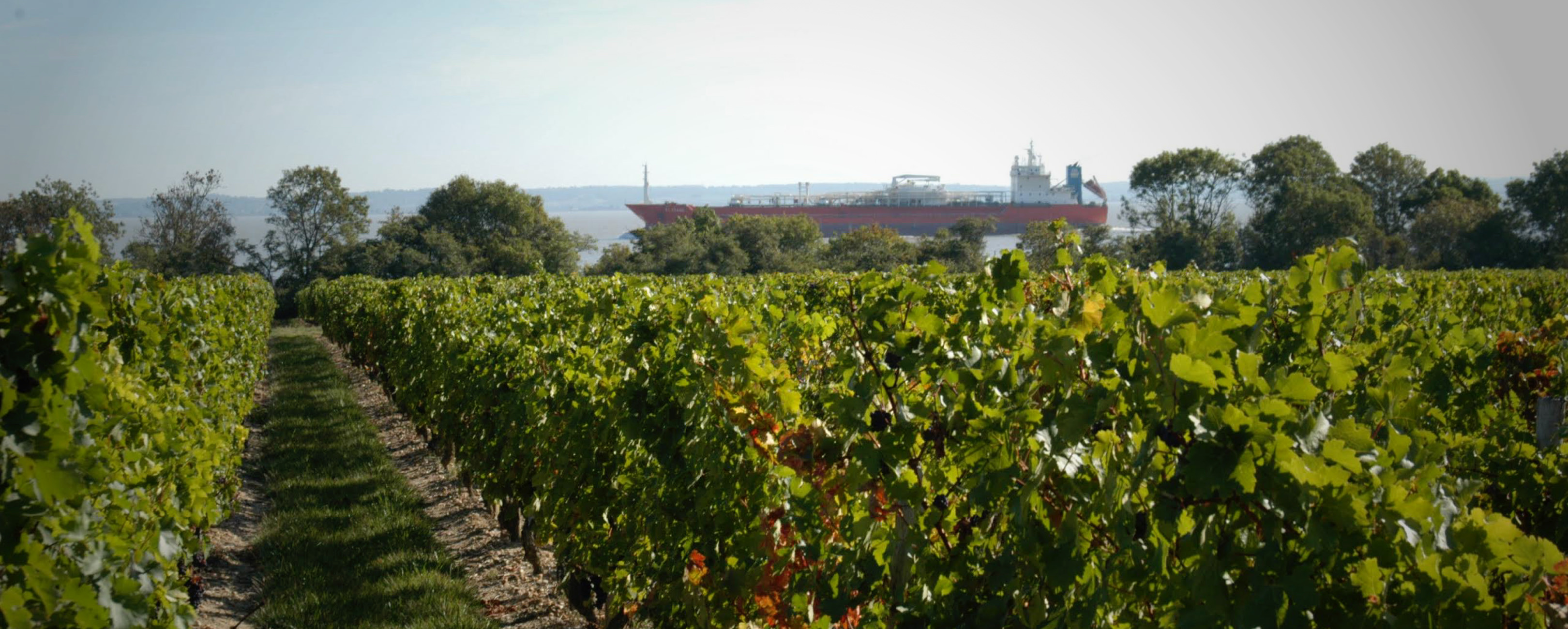 Château Haut-Maurac - Médoc