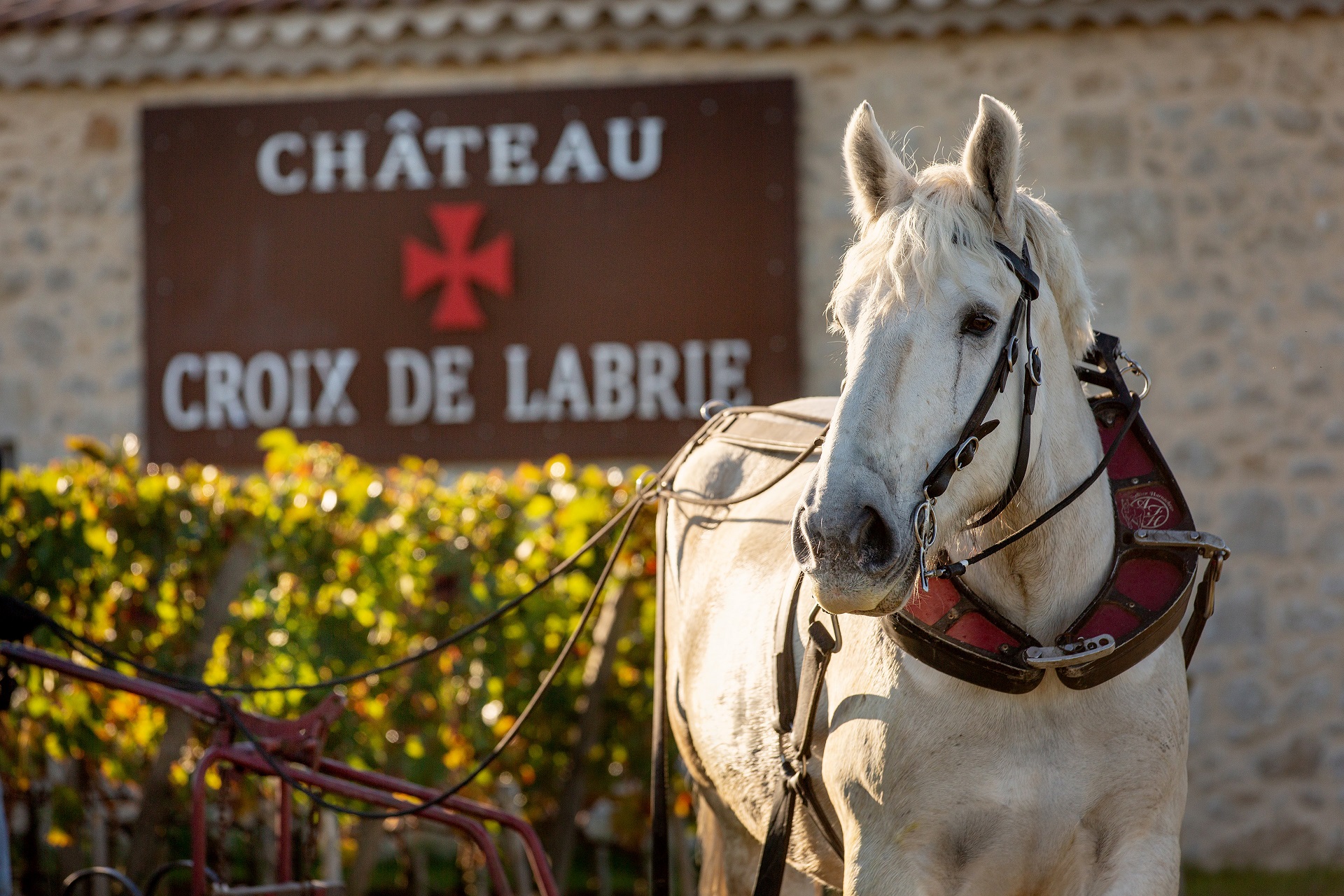Château Croix de Labrie