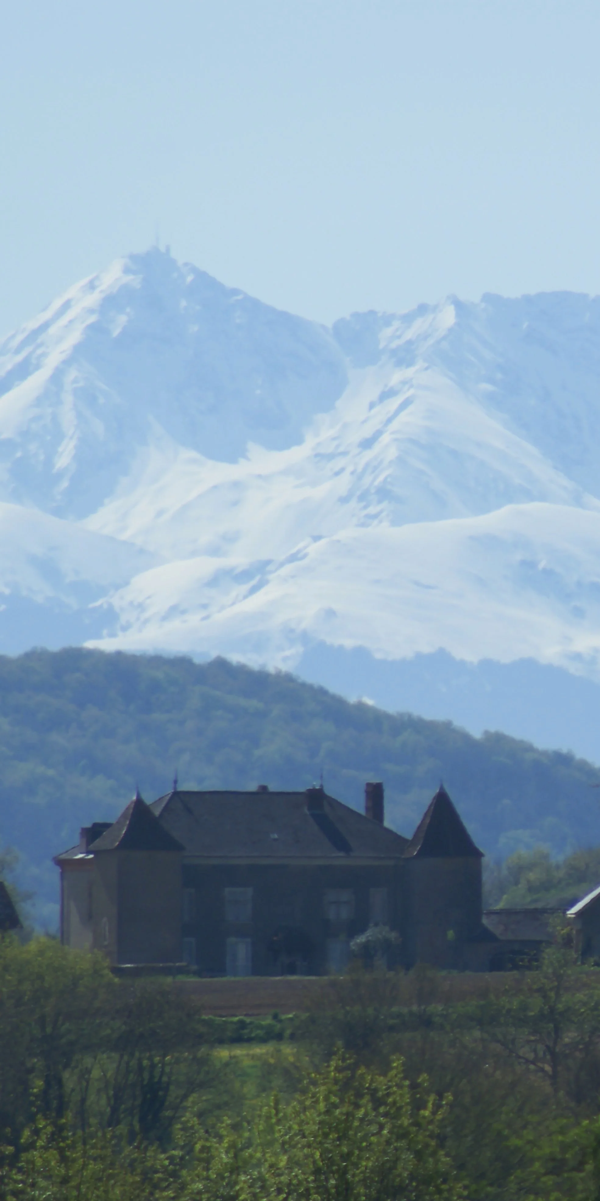 Château Gayon — photo 2
