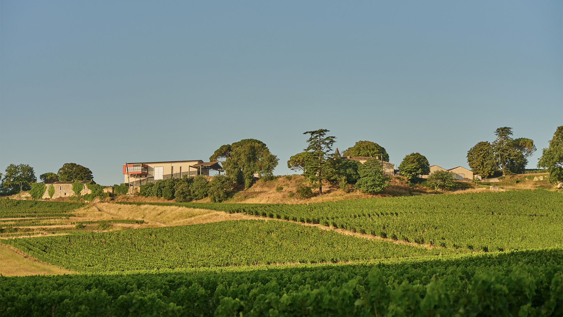 Château La Croizille