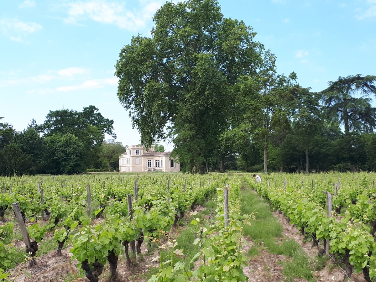 Château du Mayne la Merci
