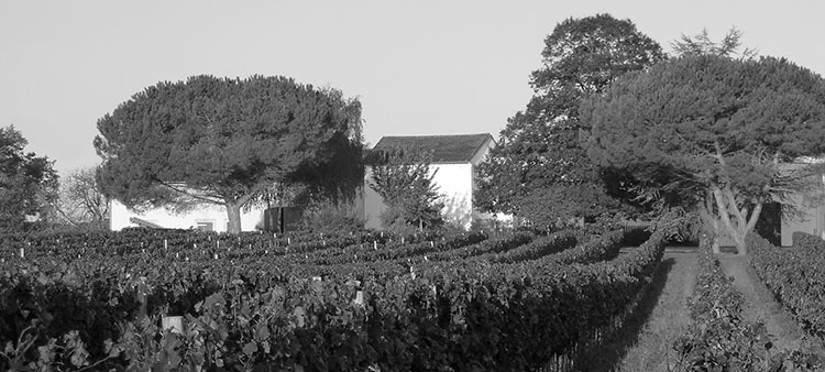 Château Hostin le Roc — photo 11