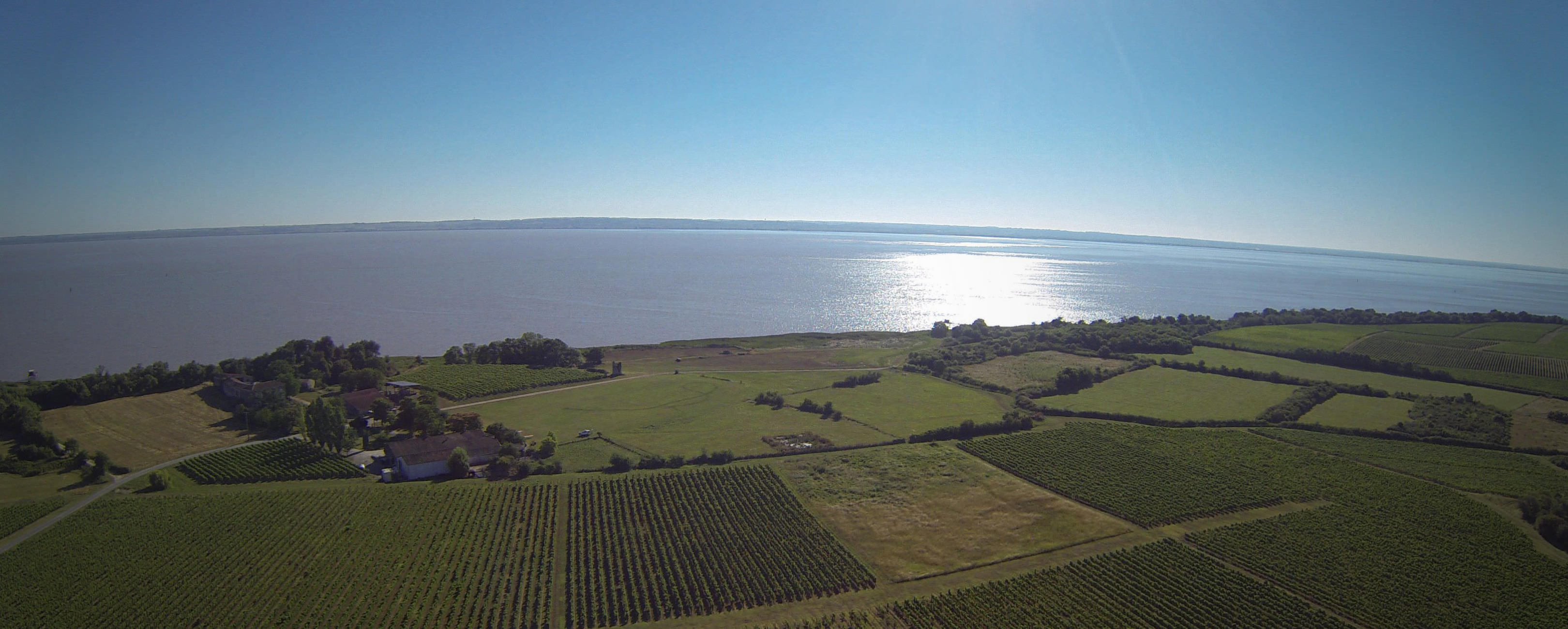 Château Tour Castillon — photo 3