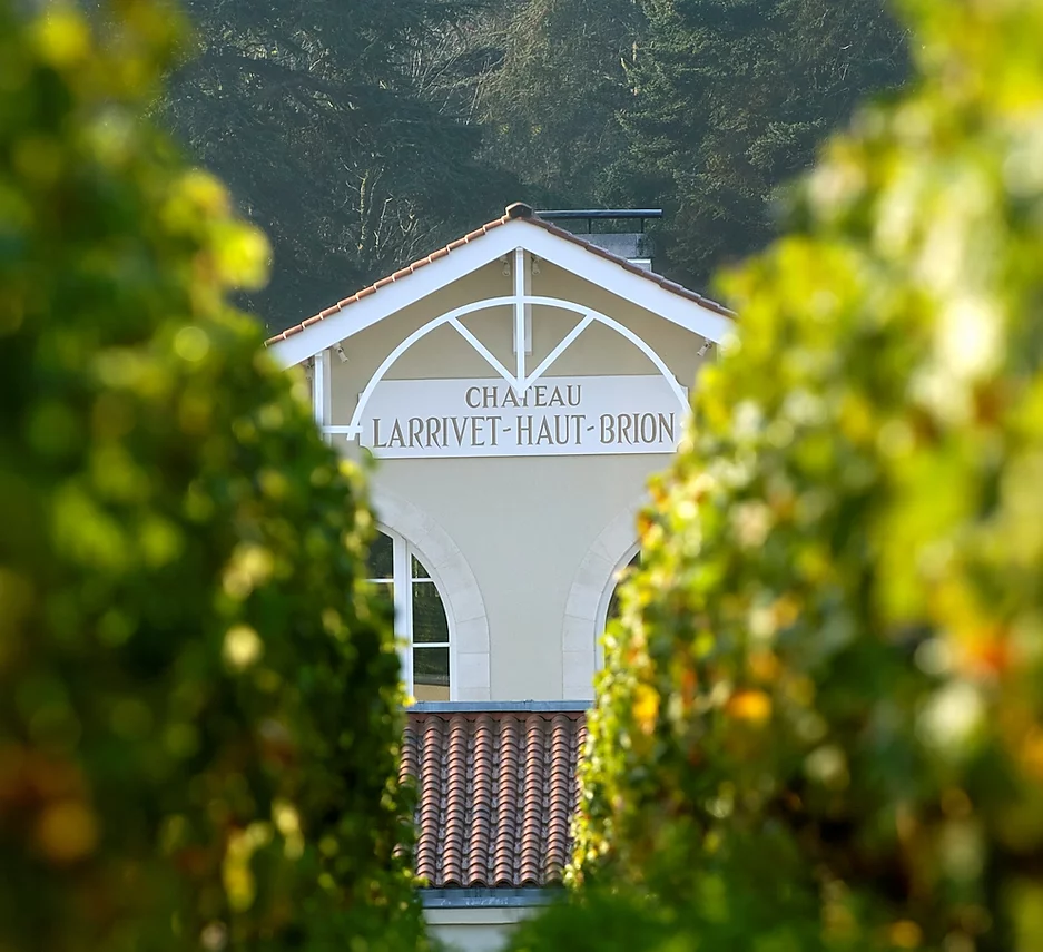 Château Larrivet Haut-Brion — photo 6