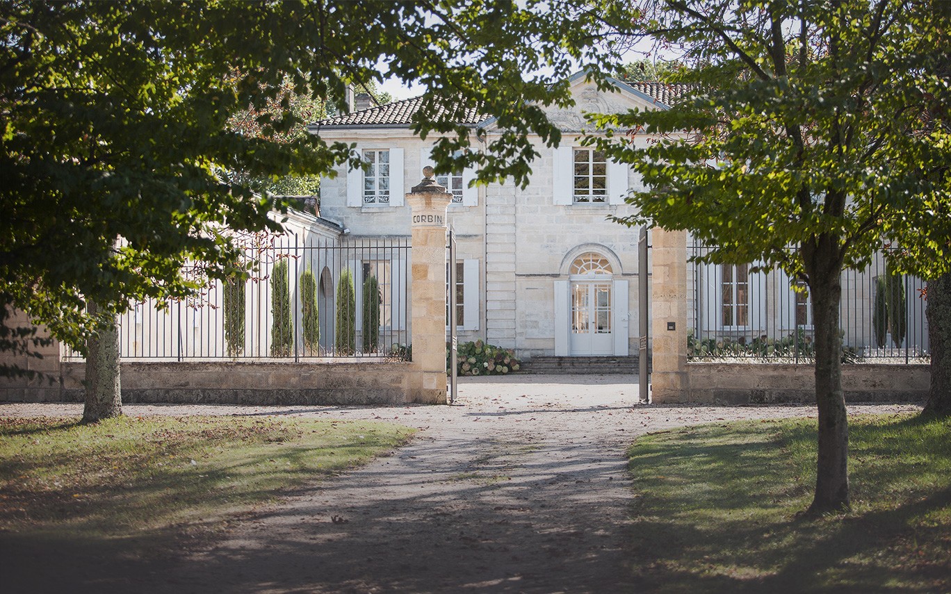 Château Rocher Corbin - Montagne-Saint-Émilion