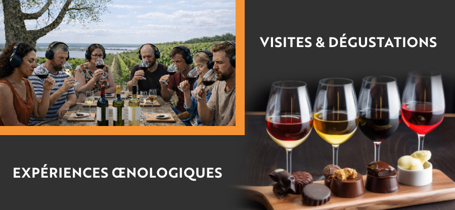 visite-chateau-viticole-bourg-sur-gironde-bordeaux