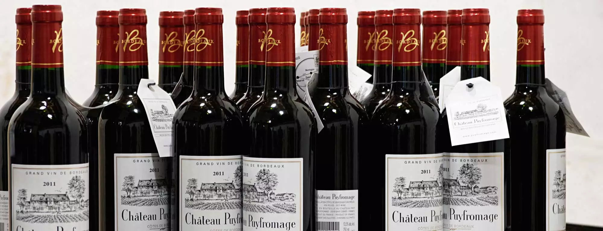 Château Puyfromage — photo 3