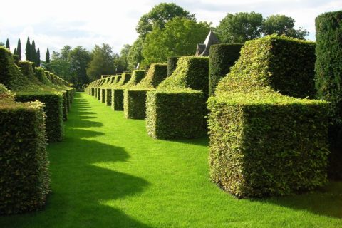 Château du Périer — photo 9