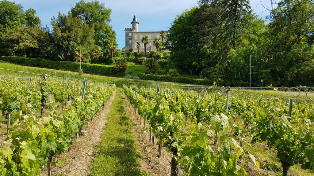 Château Guillemot - Saint-Émilion