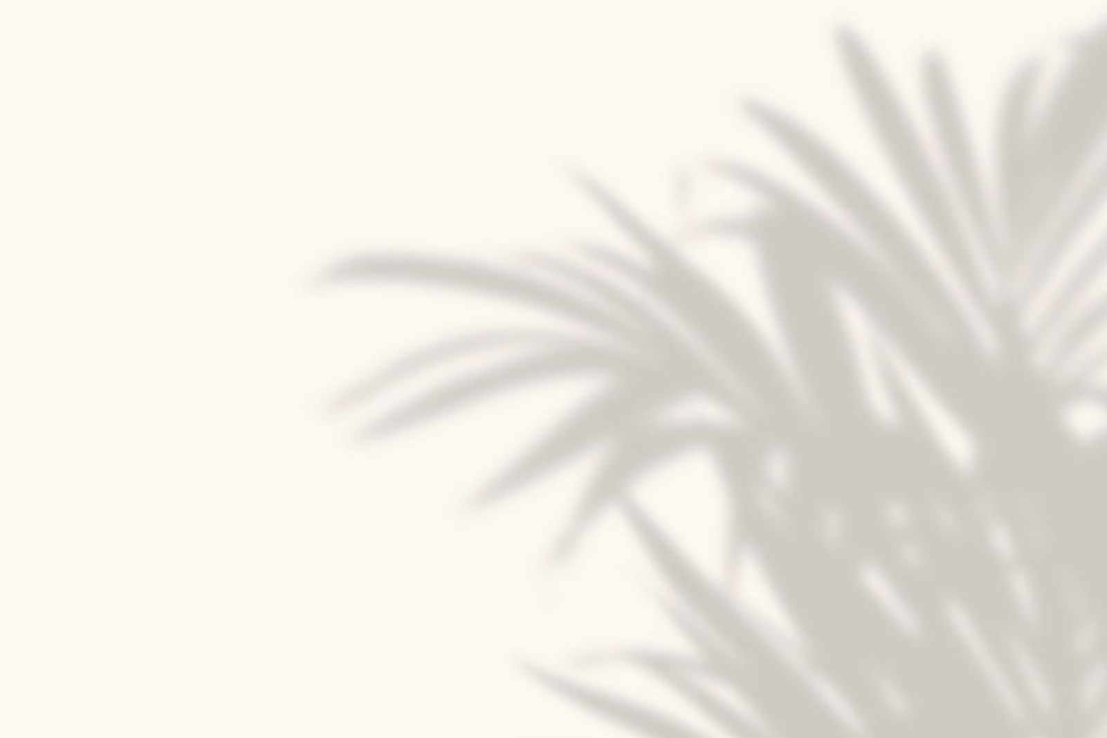 Château Mauperier — photo 5