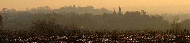 Château Caruel - Côtes de Bourg