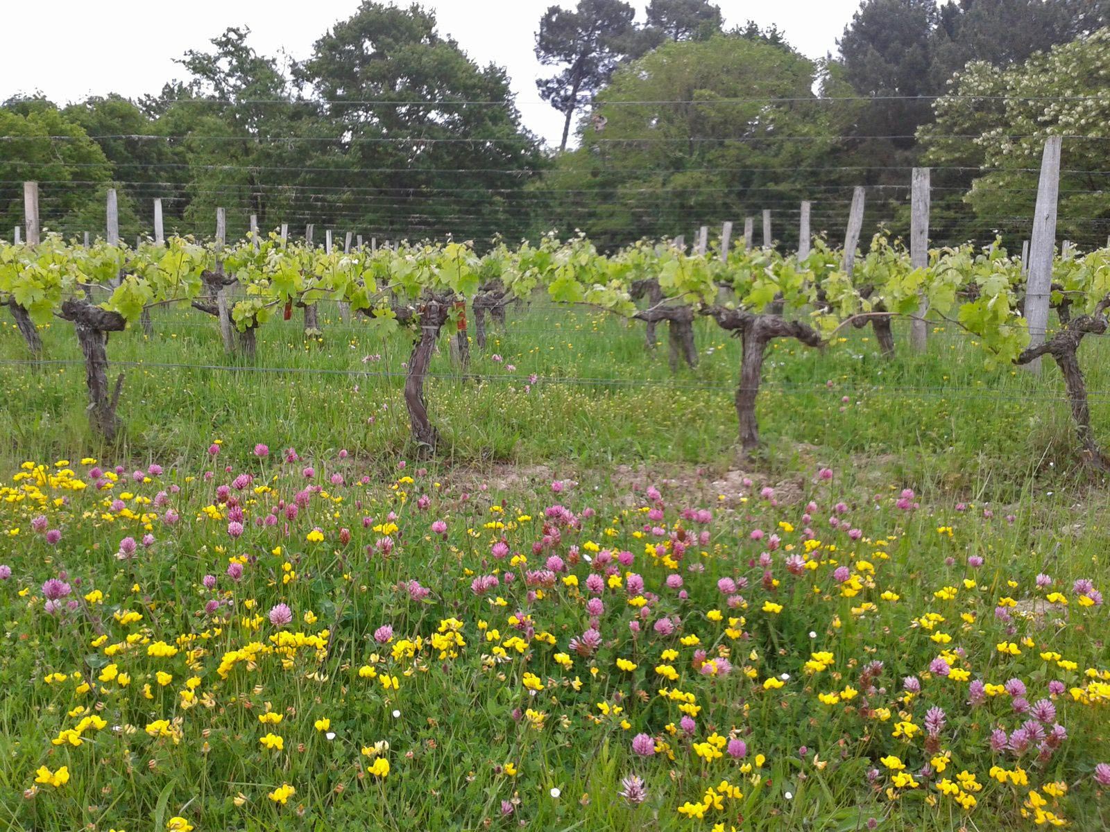 Domaine de Merlet — photo principale
