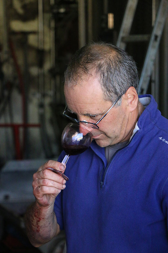 Domaine de Merlet — photo 8