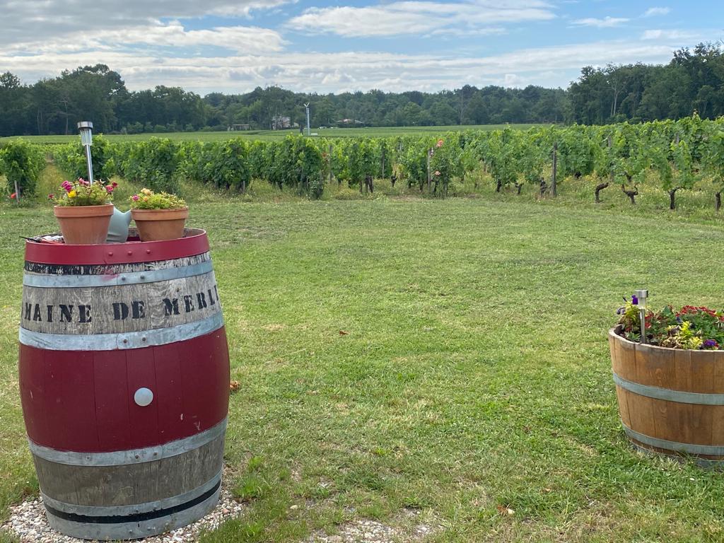 vins-pessac-leognan-vin-pessac-leognan-domaine-de-merlet-visite-chai-chais-vigne-vignes-vignoble-vin-blanc-vin-rouge-vin-bio-20