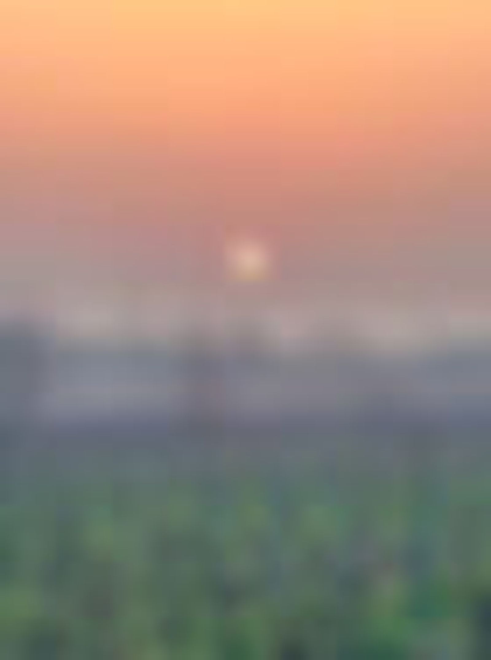 IMG_6905.jpeg