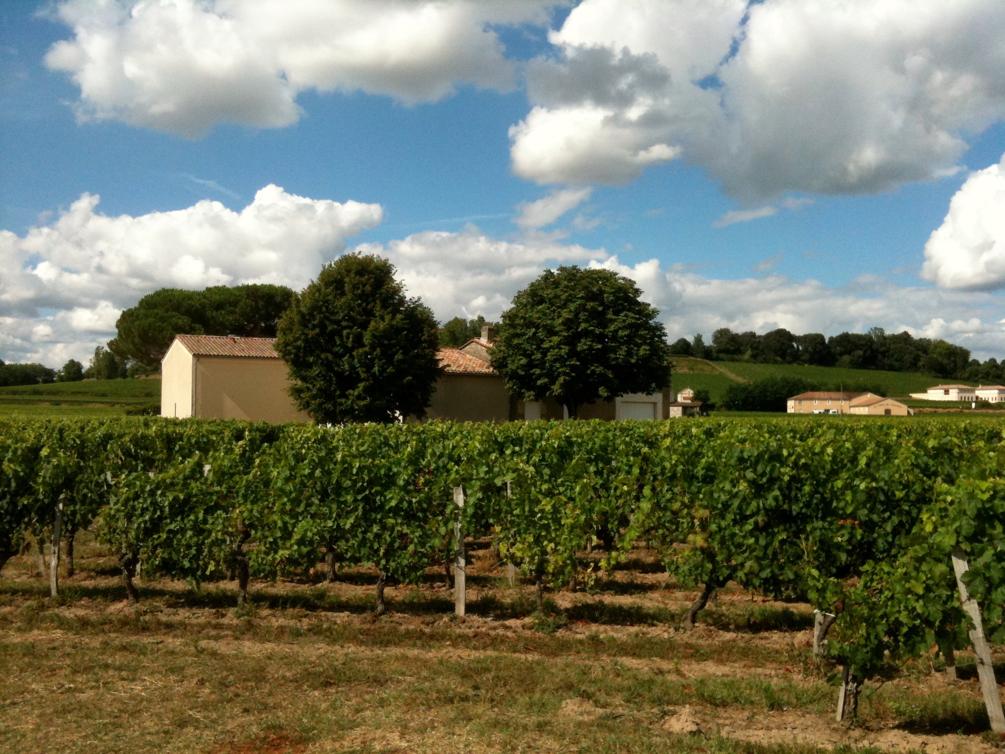 Château de Pasquette - Saint-Émilion Grand Cru