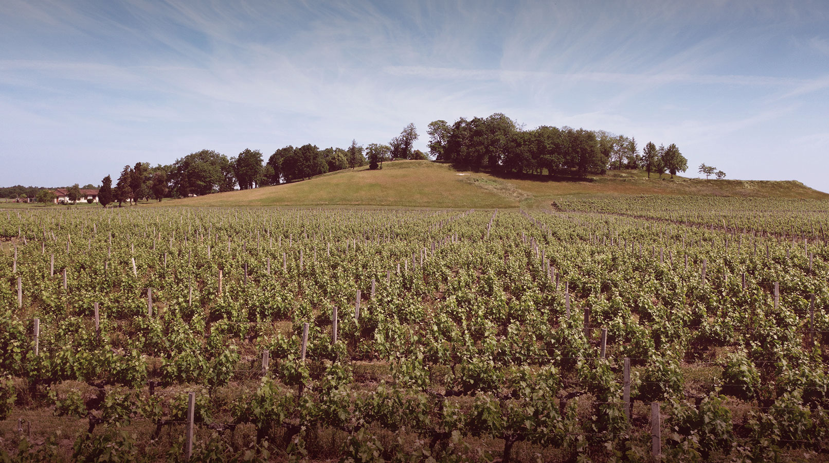 Château Blaignan — photo 2