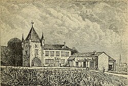 Petrus — photo 4
