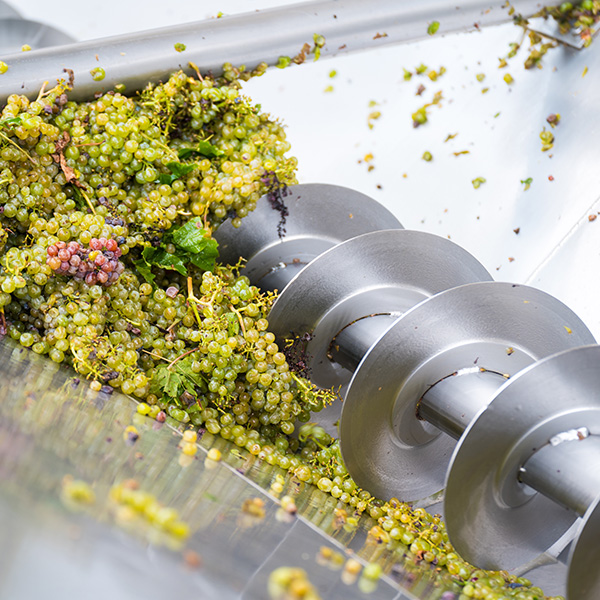 vinification, broyeur, égrappoir, traitement des raisins