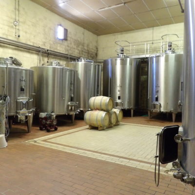 Château devis d'Ardilley - vinification