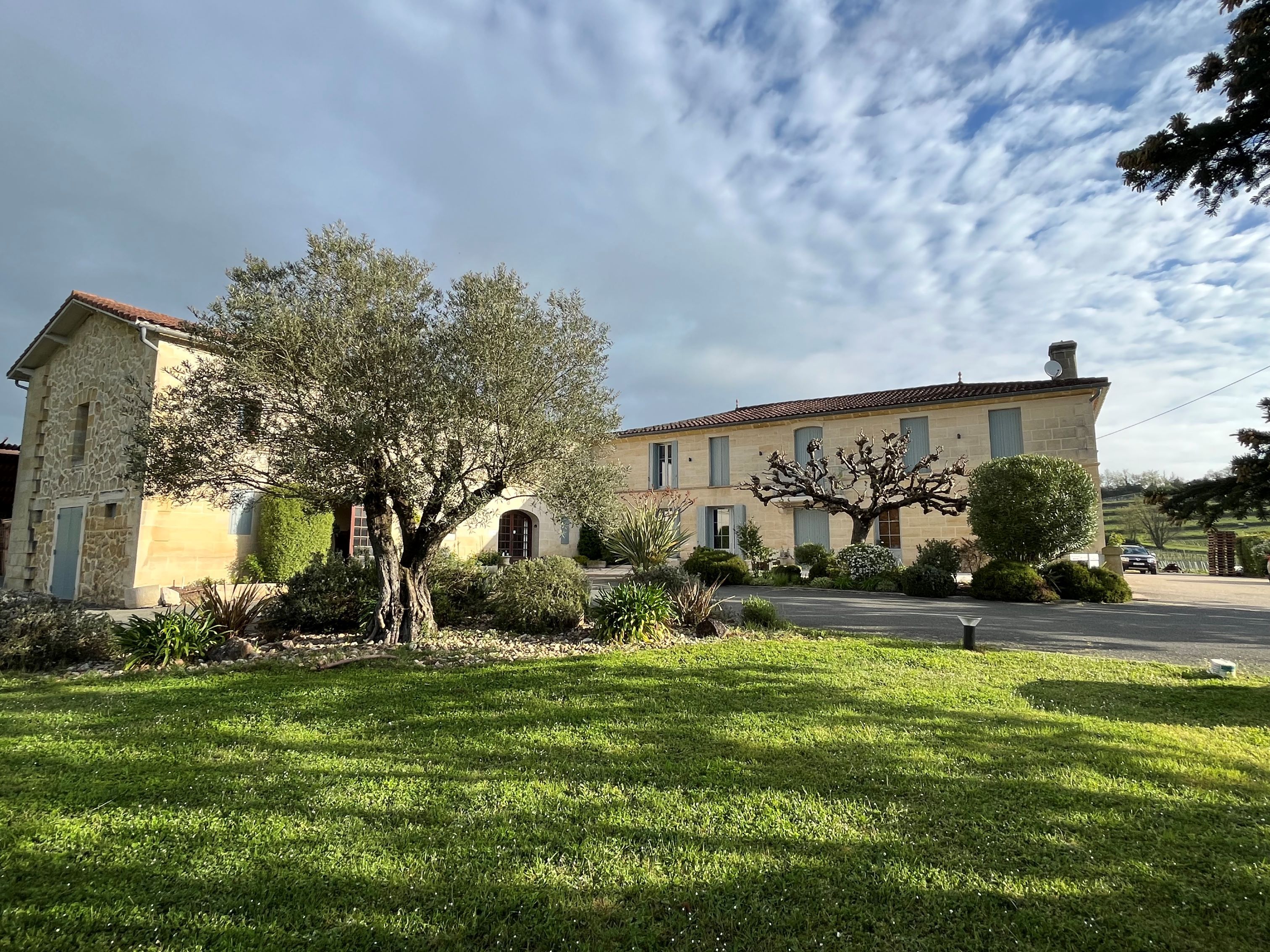 Château Petit Mangot — photo 10