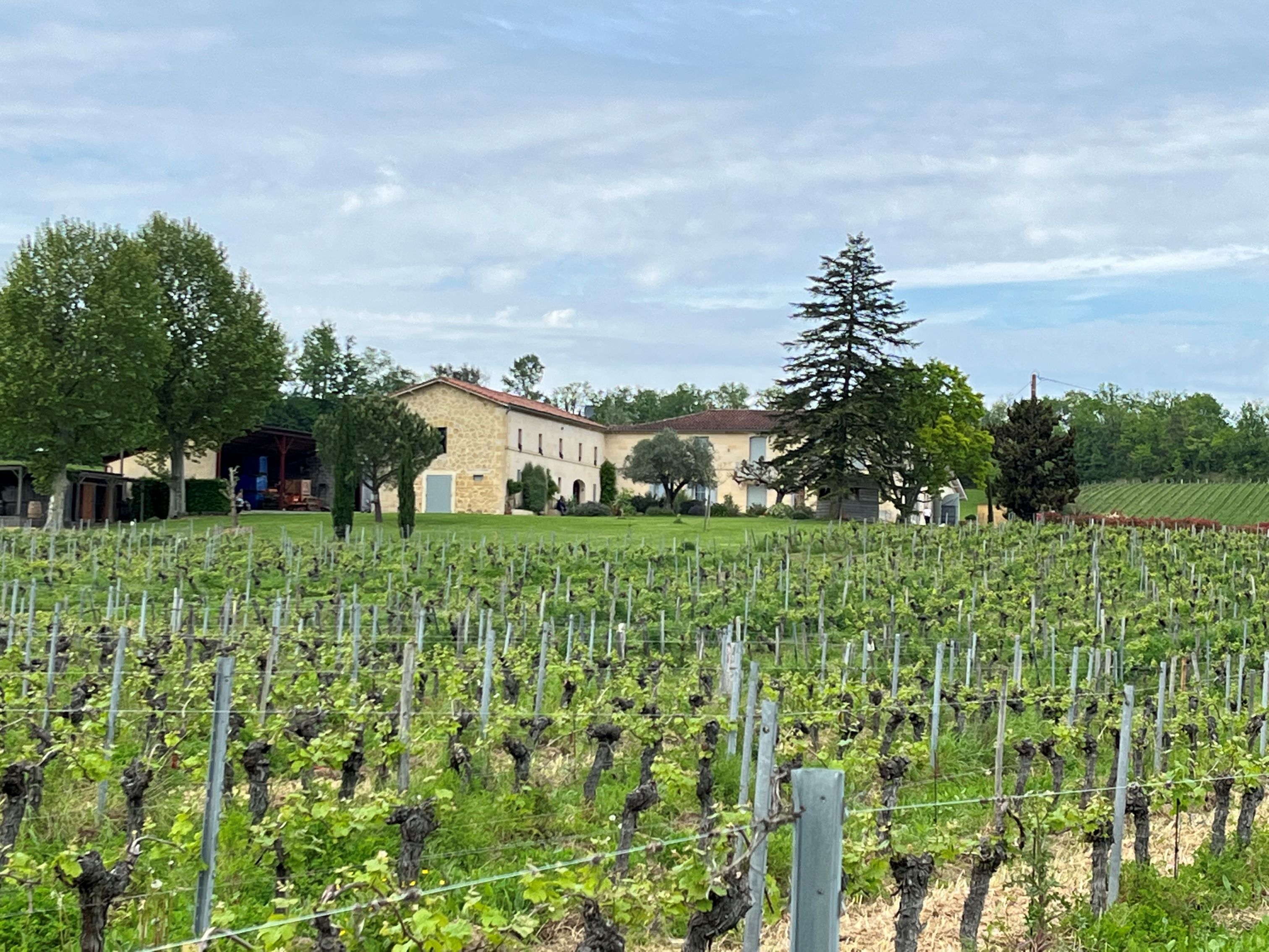 Château Petit Mangot — photo 11
