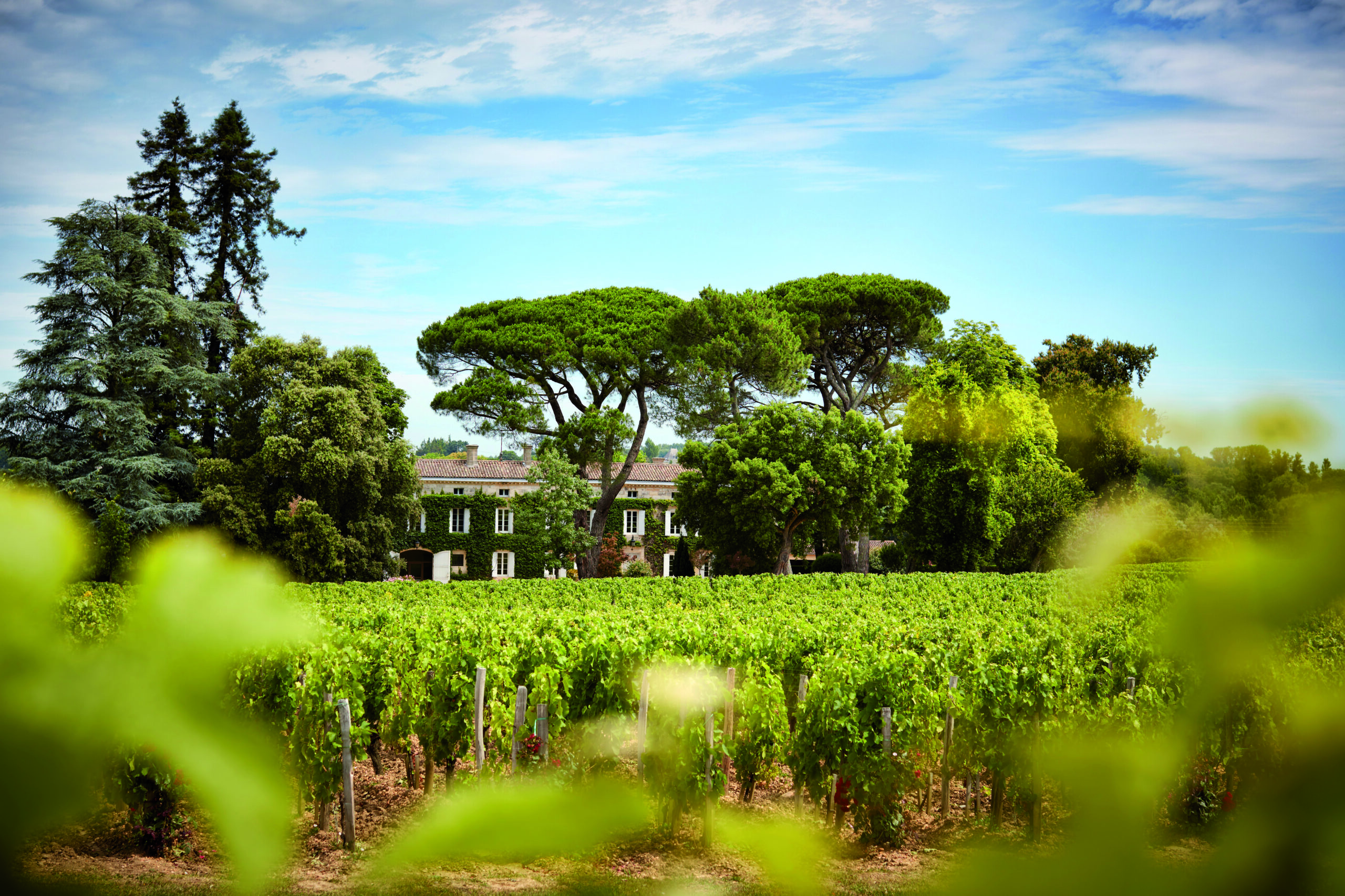 Château Rouget - Pomerol