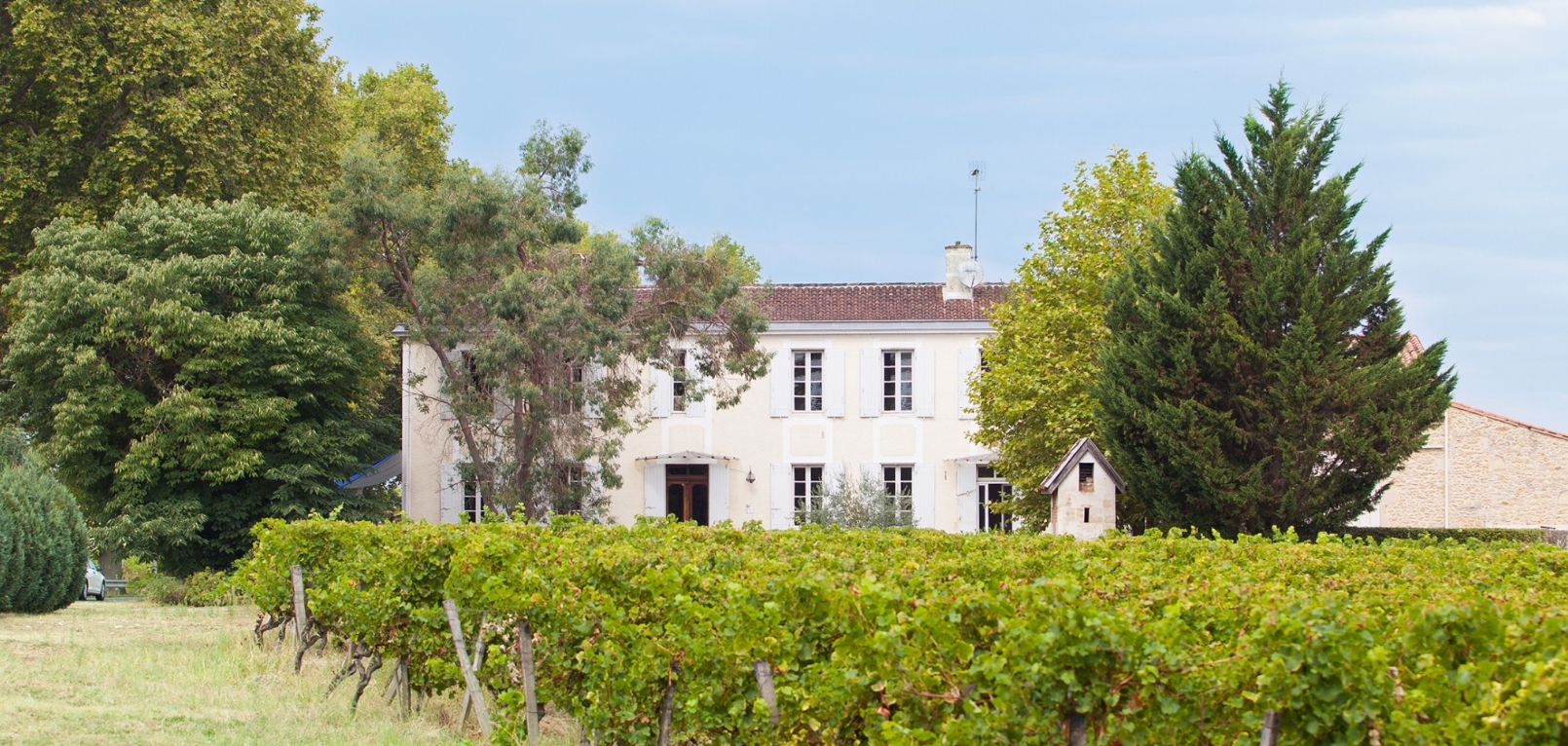 Château Mejean — photo 3