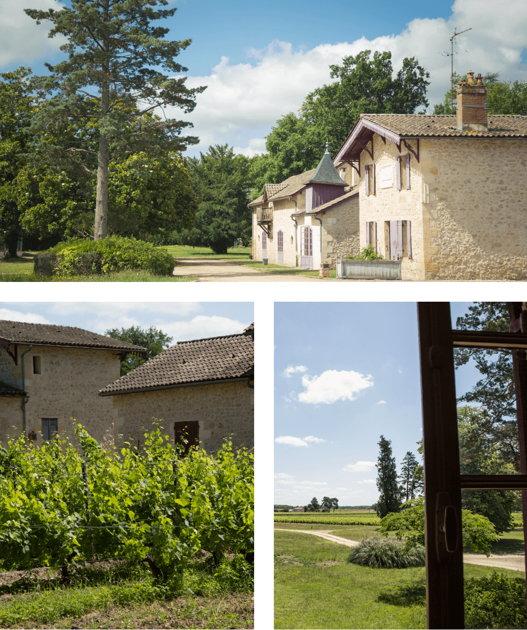 Château Mejean — photo 9