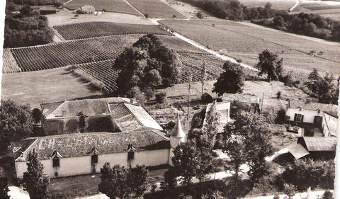 Château Gravelines — photo 5