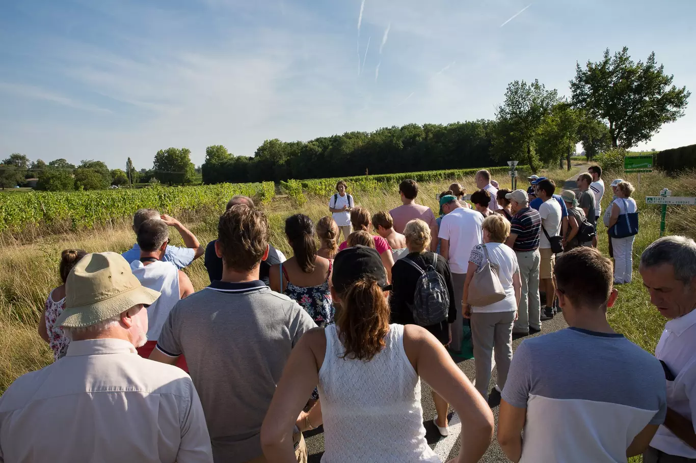 Visite et dégustation de vins près de Blaye Côtes de Bordeaux