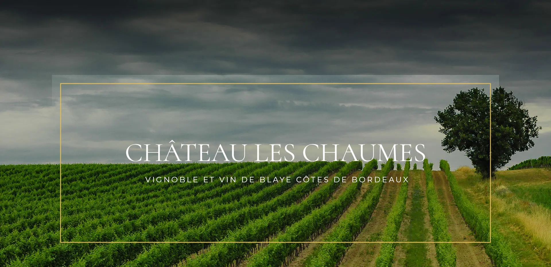 Château les Chaumes — photo 4