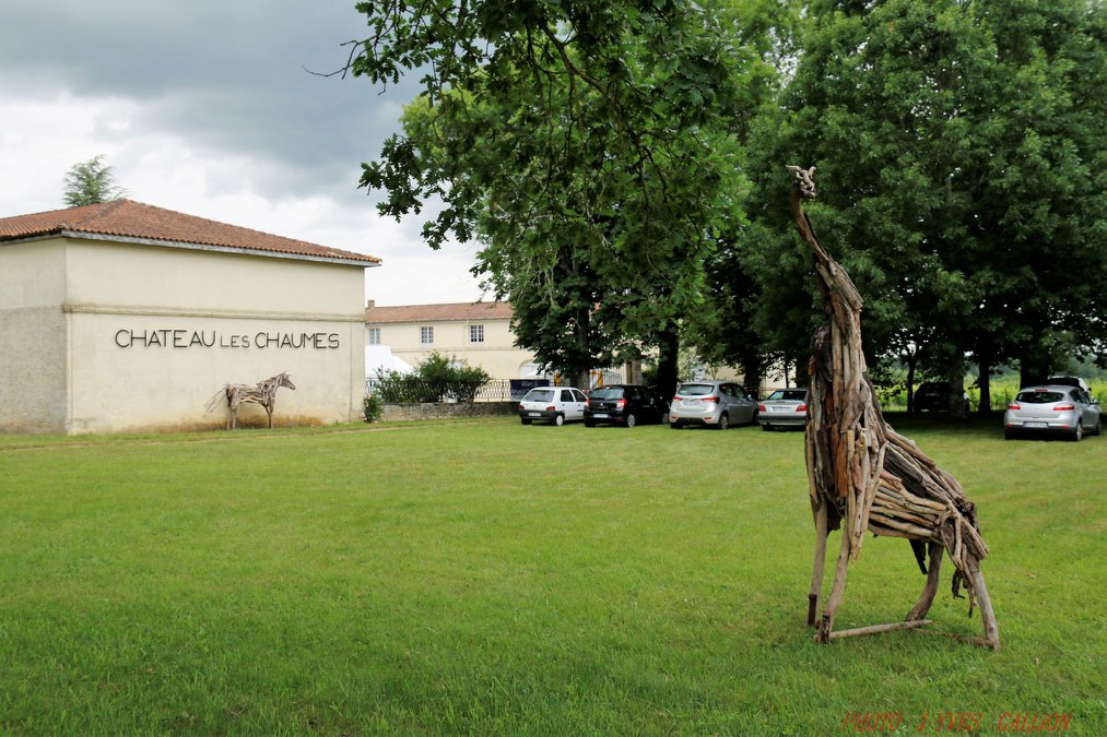 Vente de vins rouge millésimés en direct Nouvelle-Aquitaine