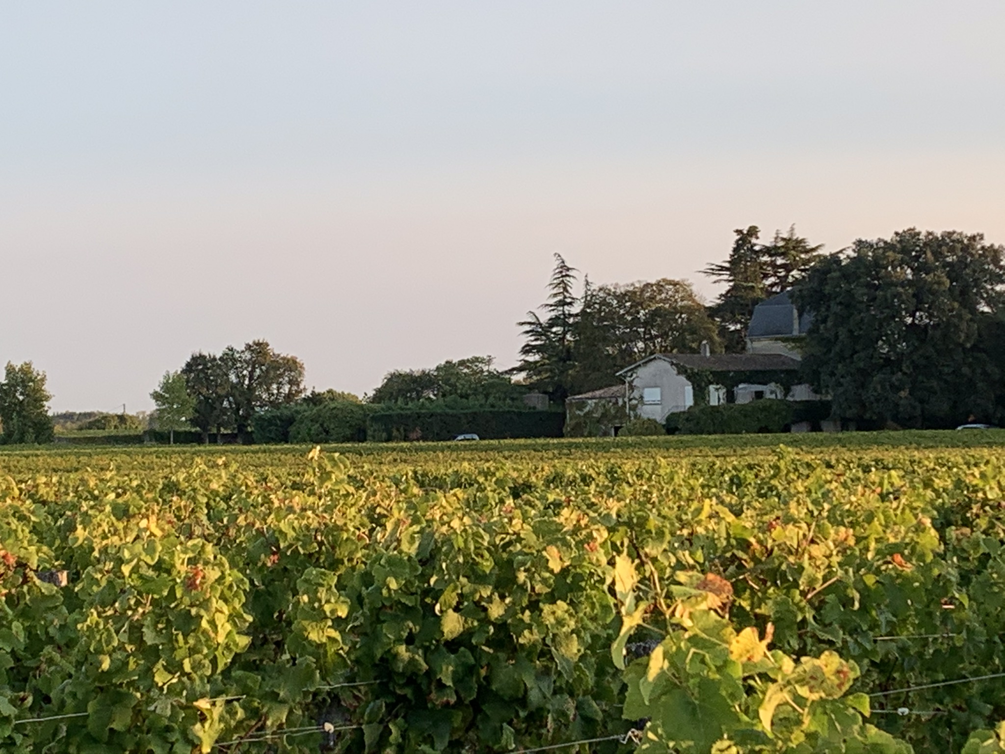 Château Liot